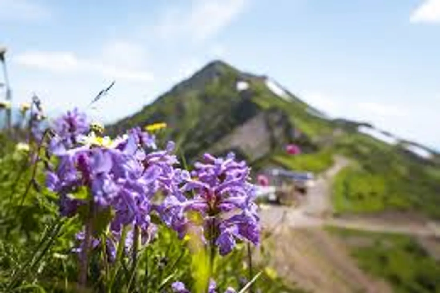 Поиск партнера: Партнёр для экопроекта в горах в Сочи | Совместный бизнес