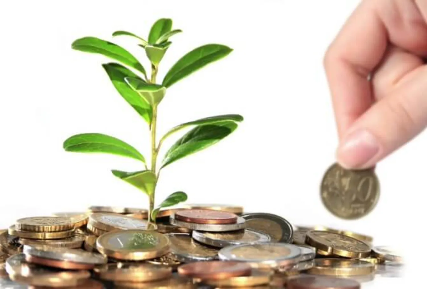 Инвестиционный проект: Инвестиции в компании, где технологии работают на бизнес в Москва | Поиск инвестора