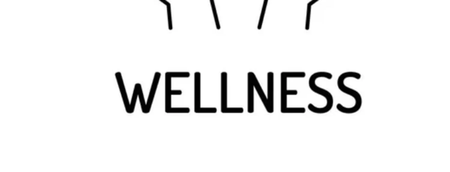 Инвестор 10 млн ₽ в действующий wellness-проект — открытие центра в Туле — Поиск инвесторов — обложка
