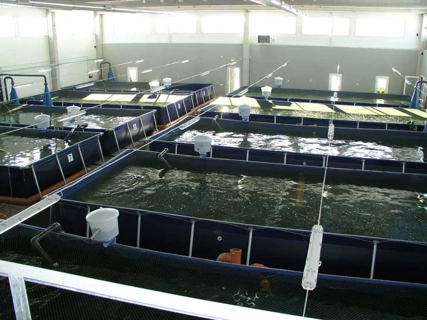 Инвестор: Совместное развитие фермы и выход на экспорт из Ростов-на-Дону | Финансирование бизнеса