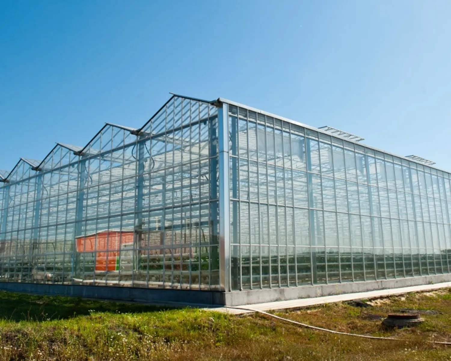 Требуется инвестор для строительства тепличного комплекса в Подмосковье — Поиск инвесторов — обложка