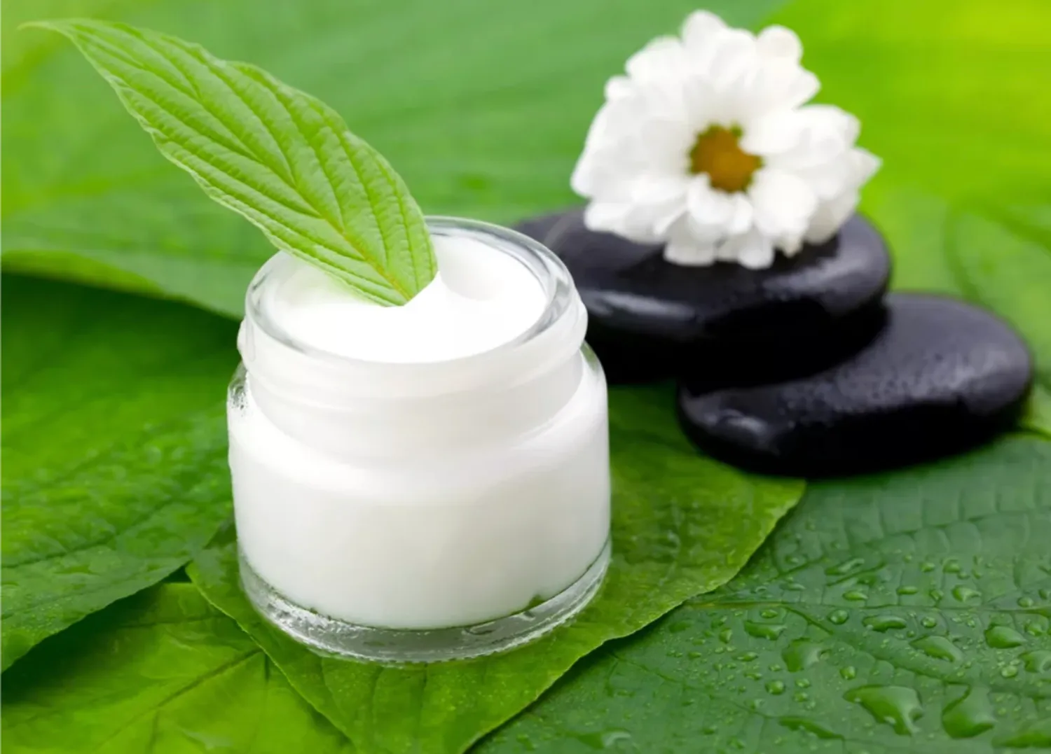 Интернет магазин для женщин — Продажа бизнеса — обложка