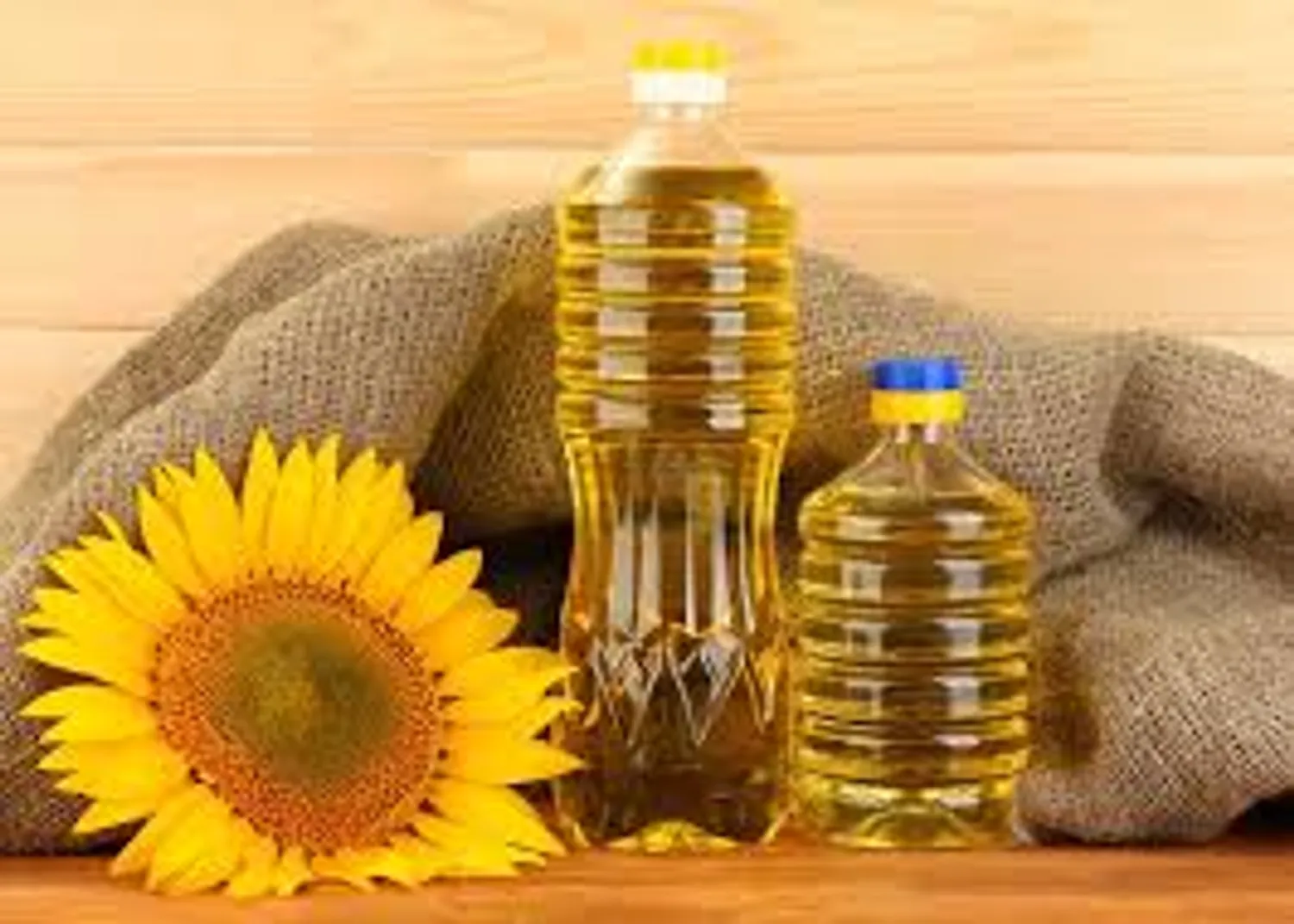 Партнёр для запуска производства подсолнечного масла — Поиск бизнес партнёров — обложка