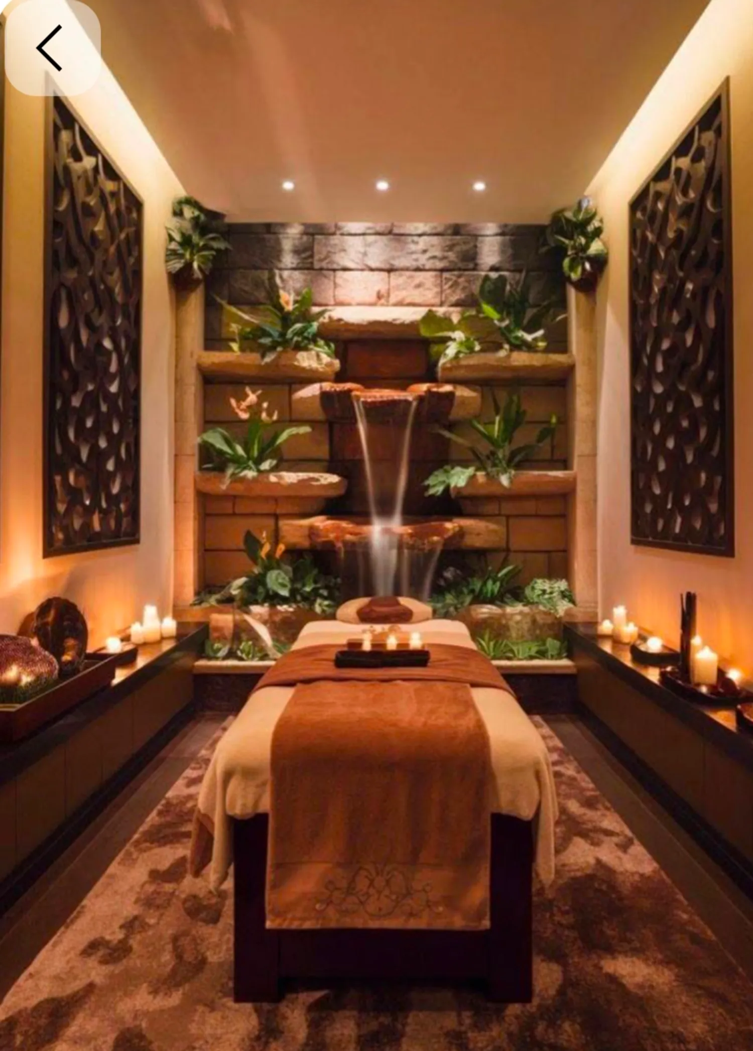 Инвестиции в премиум SPA с AI-диагностикой (7 млн ₽) — Поиск инвесторов — обложка