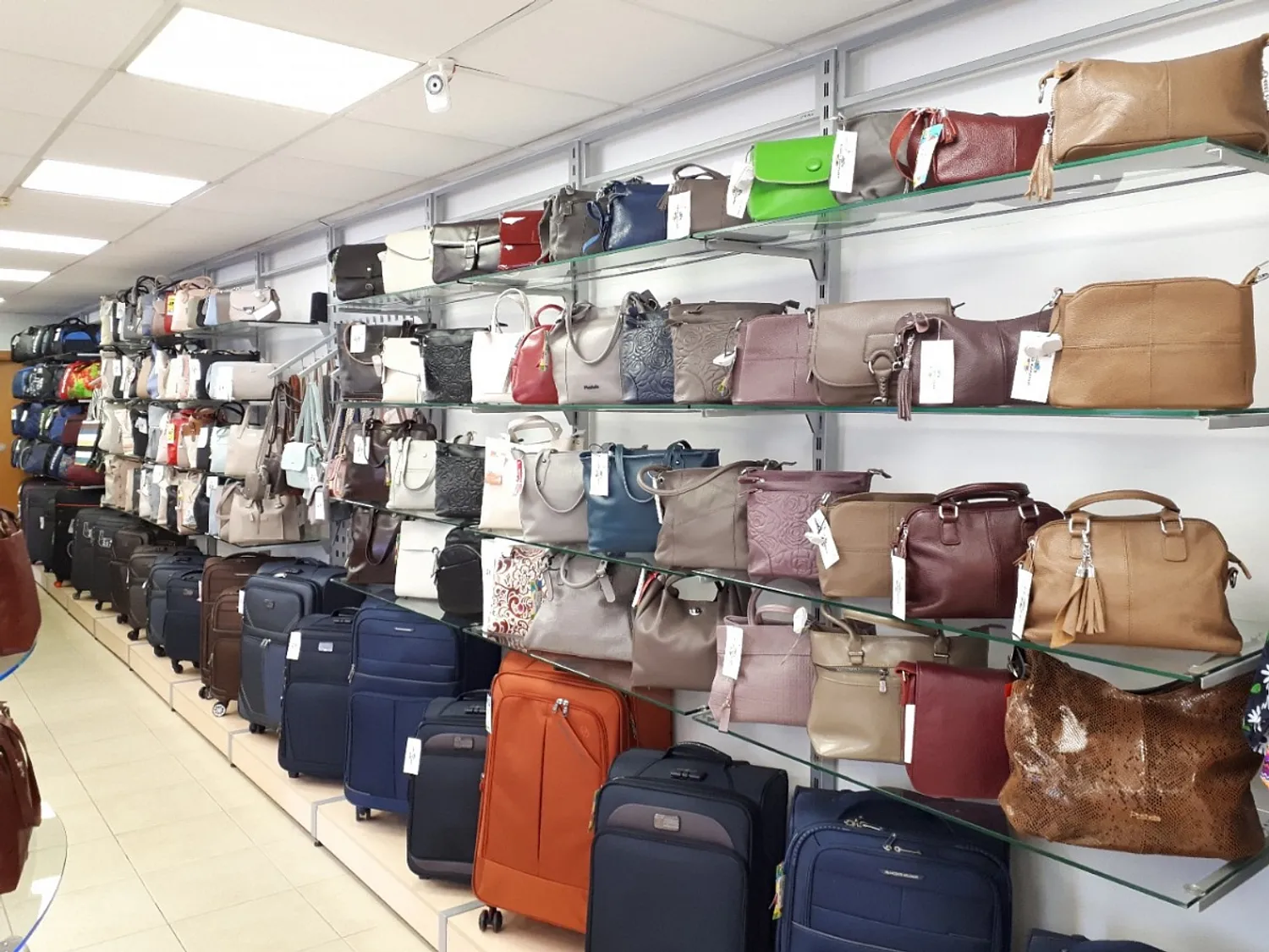 Ищу инвестора для открытия магазина сумок — Поиск инвесторов — обложка