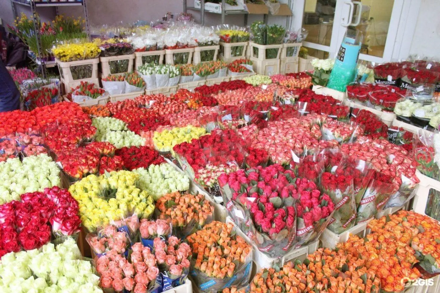 Франшиза: Цветочный след — Франшизы — обложка