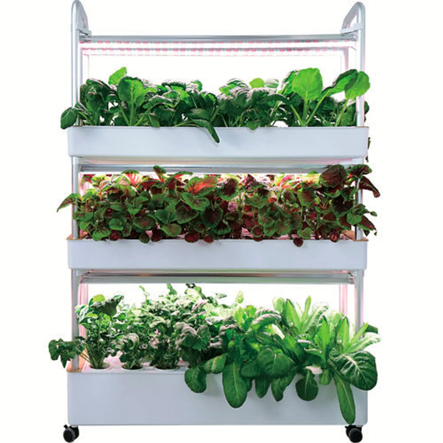 Поиск партнера: Партнёр в проект по созданию умной фермы в Санкт-Петербург | Совместный бизнес