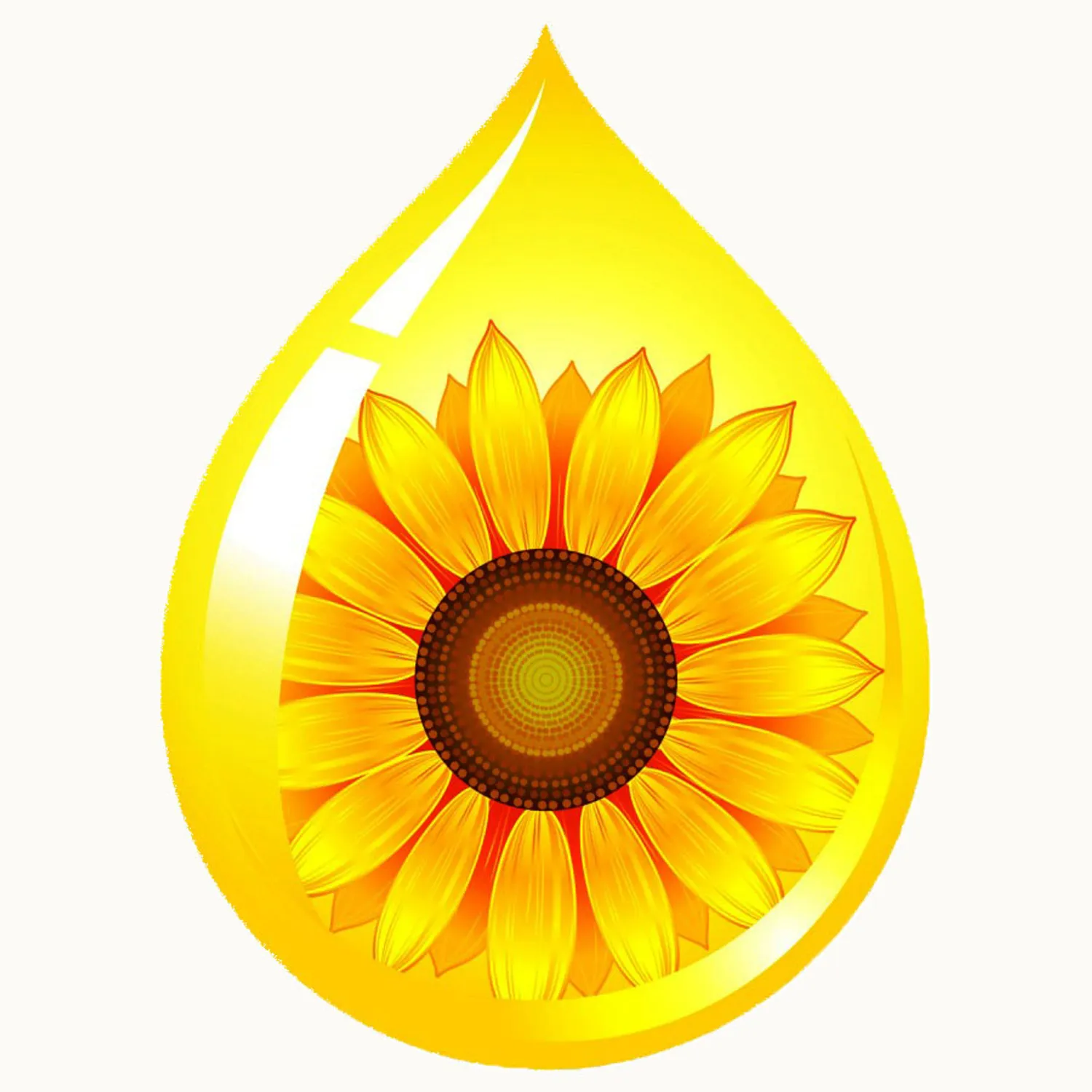 Инвестор: Производство растительных масел (цех переработки) из Воронеж | Финансирование бизнеса