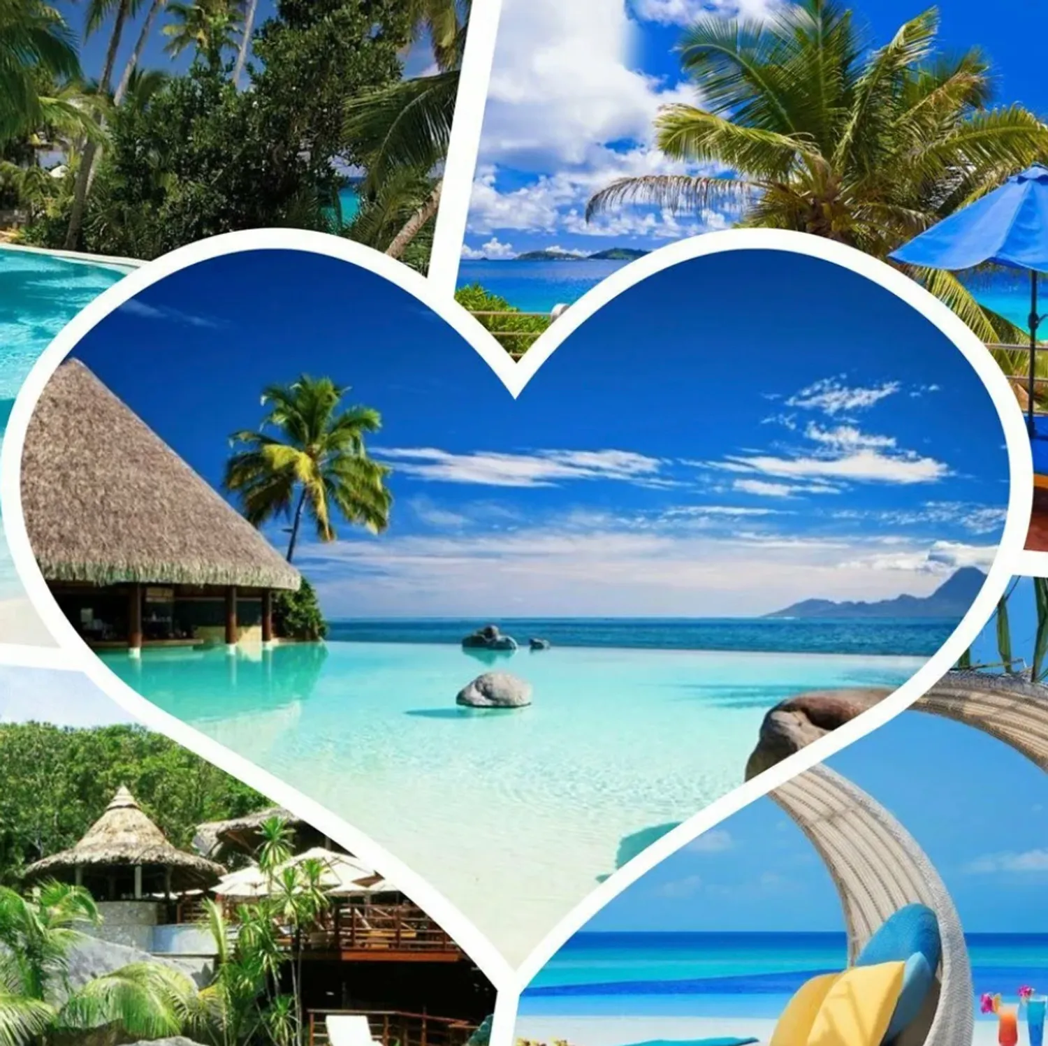 Туристическое агентство для всех — Поиск инвесторов — обложка