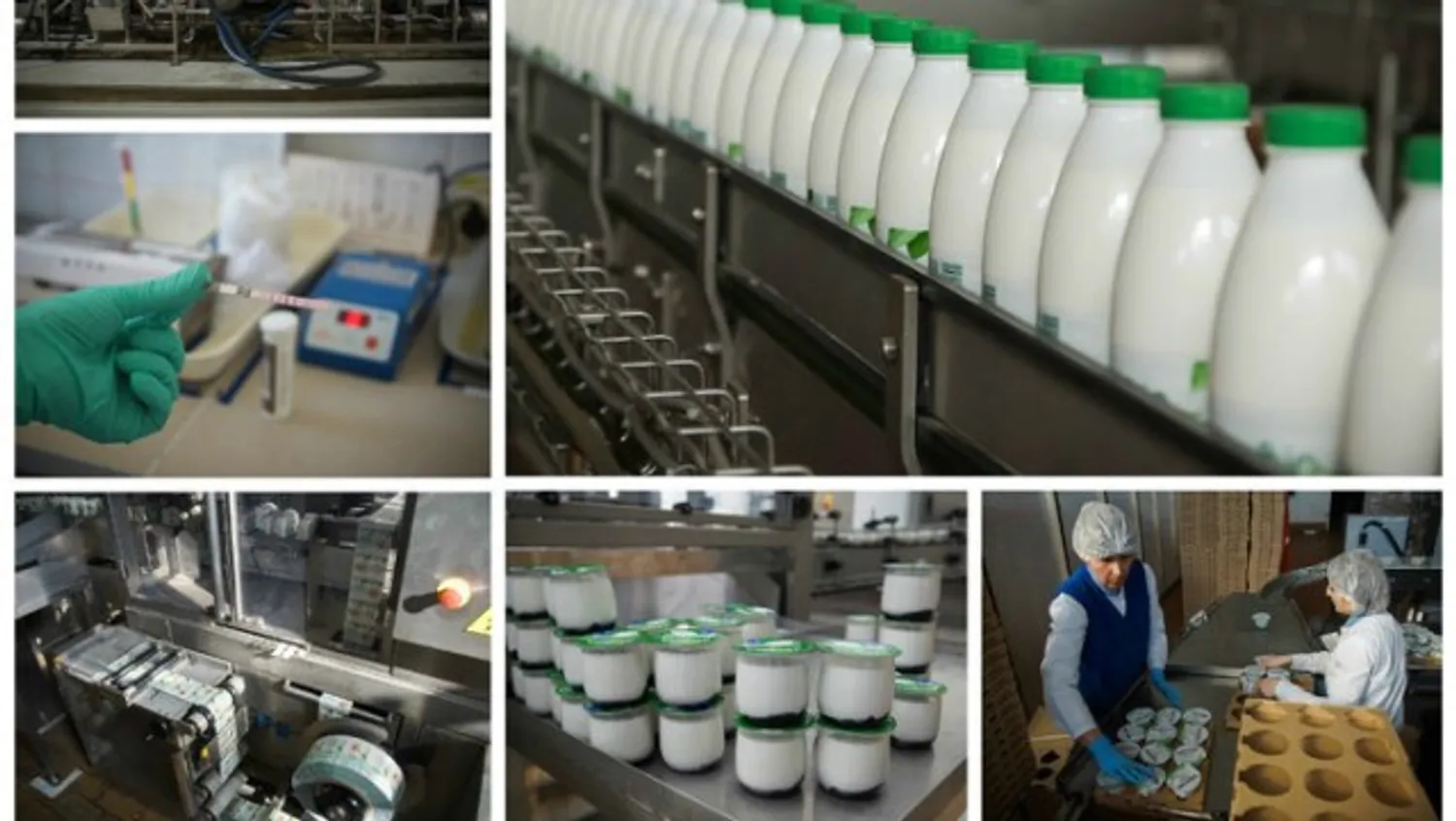 Партнёр для молочного цеха по производству йогуртов и кефира — Поиск бизнес партнёров — обложка