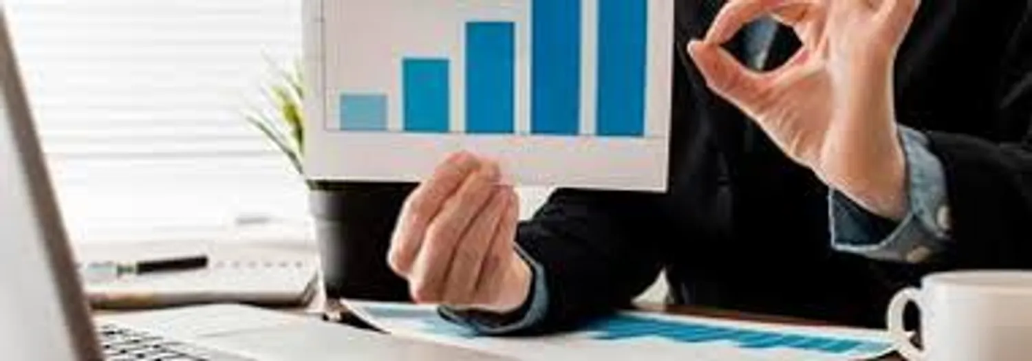 Покупка банка и переформатирование его в Инвестиционный банк. — Поиск инвесторов — обложка