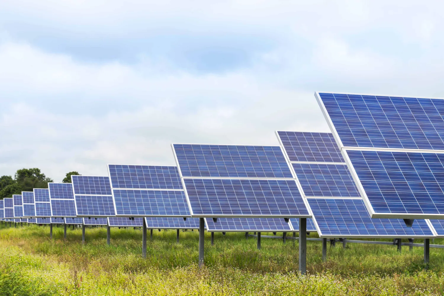 Инвестор: Фонд развития возобновляемых технологий из Новосибирск | Финансирование бизнеса