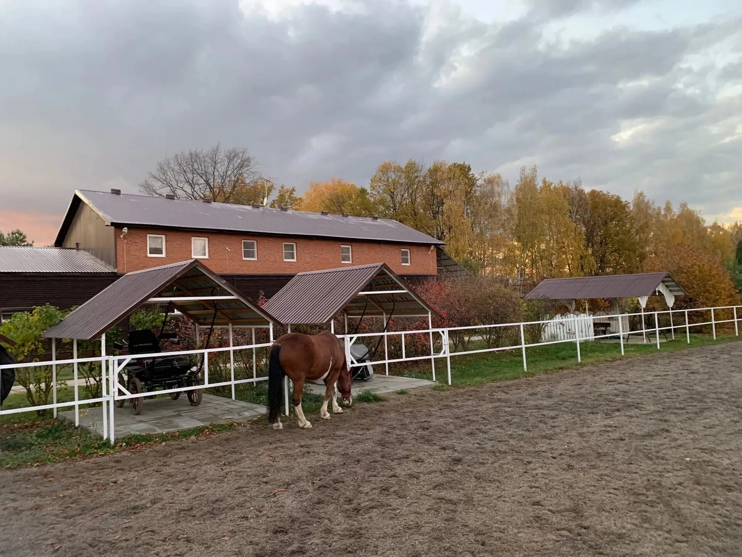 Центр иппотерапии и обучения верховой езды — Поиск инвесторов — обложка