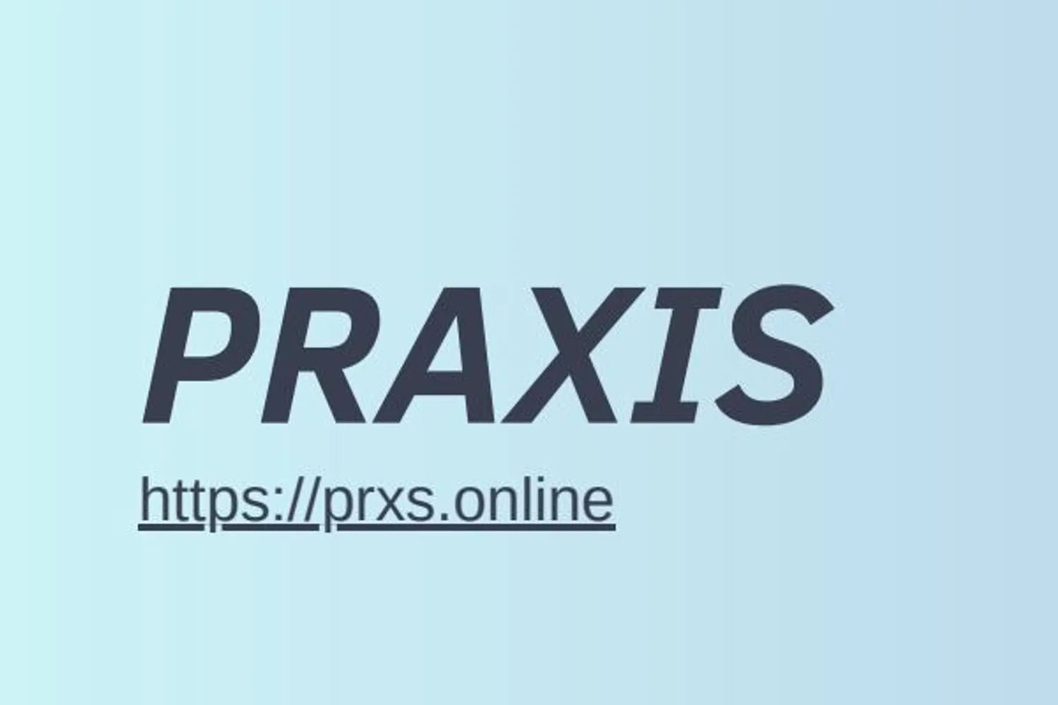 AI-проект Praxis в поисках инвестора. — Поиск инвесторов — обложка