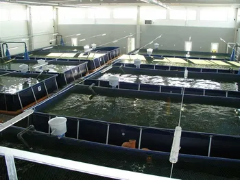 Совместное развитие фермы и выход на экспорт — похожее объявление — карточка 4