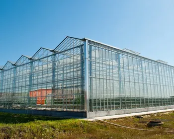 Требуется инвестор для строительства тепличного комплекса в Подмосковье — похожее объявление — карточка 3