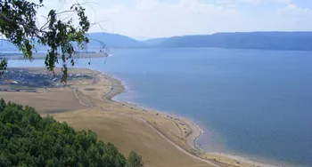 НУГУШ — похожее объявление — карточка 6