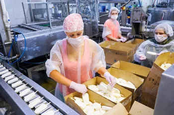 Производство итальянского мороженного — похожее объявление — карточка 2