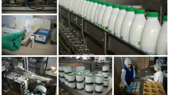 Партнёр для молочного цеха по производству йогуртов и кефира — Поиск бизнес партнёров — Новосибирск