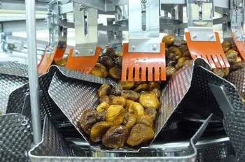 Продаётся производство по выпуску сухофруктов и цукатов — похожее объявление — карточка 2