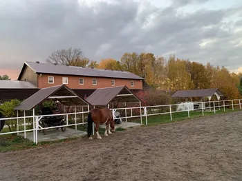 Центр иппотерапии и обучения верховой езды — Поиск инвесторов — Екатеринбург