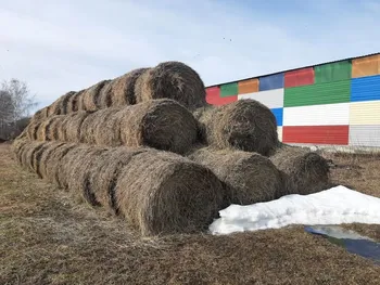 Продаётся действующее сельхозпредприятие с дисконтом 30% — Продажа бизнеса — фото 2