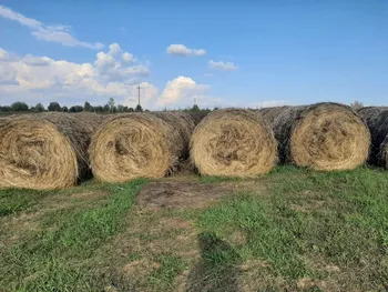 Продаётся действующее сельхозпредприятие с дисконтом 30% — Продажа бизнеса — фото 5