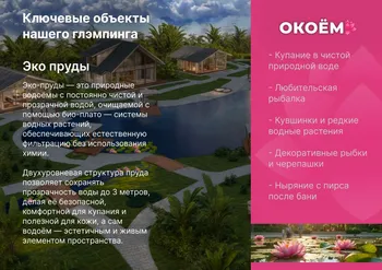 Доля в бизнесе - акции глэмпинга нового формата — Поиск инвесторов — фото 9