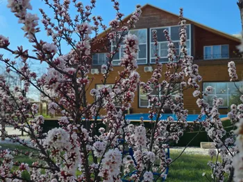 Рыболовно-туристическая база на Волге — Продажа бизнеса — фото 3