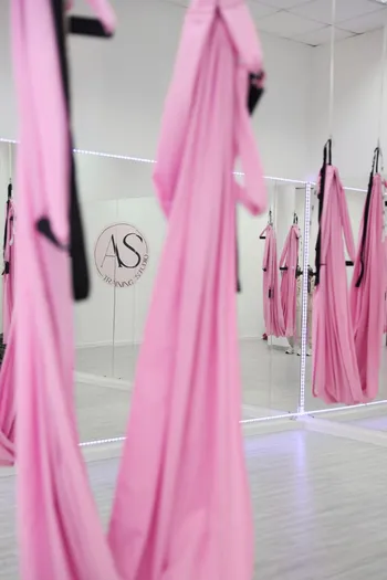 AS training studio — Франшизы — фото 5