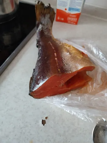 Продажа готового бизнеса копчение — Продажа бизнеса — фото 1