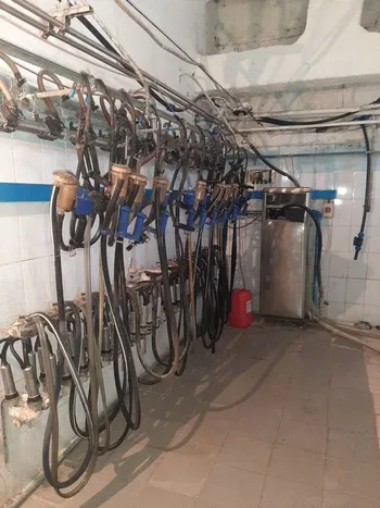 Продаётся действующее сельхозпредприятие с дисконтом 30% — Продажа бизнеса — фото 3