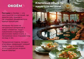 Доля в бизнесе - акции глэмпинга нового формата — Поиск инвесторов — фото 4