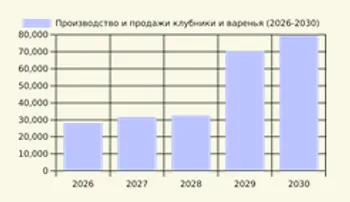 Развитие ягодного бизнеса в Карелии – «от поля к туннелю» с перспективой переработки ягод — Поиск бизнес партнёров — фото 6