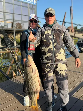 приглашаю инвестора — Поиск инвесторов — фото 1