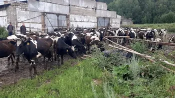 Продаётся действующее сельхозпредприятие с дисконтом 30% — Продажа бизнеса — фото 6