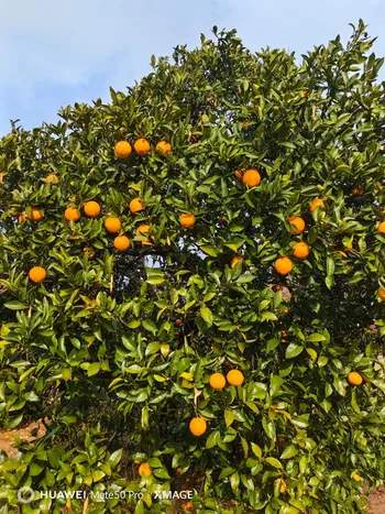 Постройка бизнеса мини гостиница — Поиск бизнес партнёров — фото 7