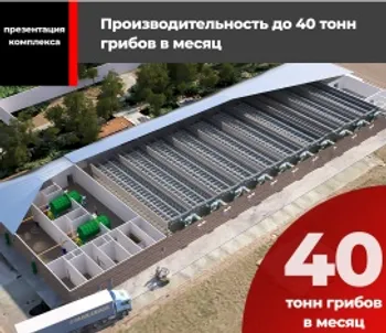 Грибная фабрика, на 100 тонн — Поиск инвесторов — фото 2