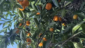 Постройка бизнеса мини гостиница — Поиск бизнес партнёров — фото 3