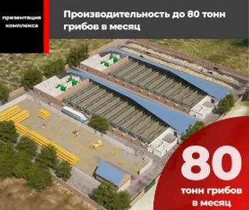 Грибная фабрика, на 100 тонн — Поиск инвесторов — фото 1