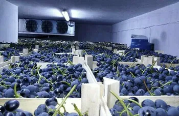 Строительство холодильного склада для хранения фруктов и ягод — Поиск бизнес партнёров — фото 1