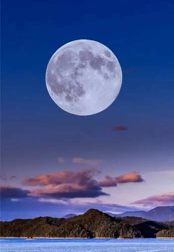 Ronin — аватар